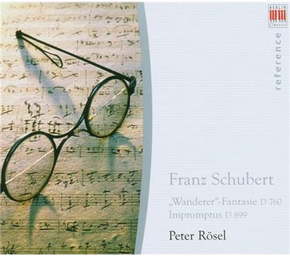 Peter R&ouml;sel & Franz Schubert (1797-1828) - Wandererfantasie