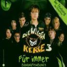 Bananafishbones - Fuer Immer - 2Track