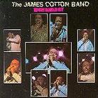 James Cotton - High Energy