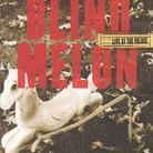 Blind Melon - Live At The Palace