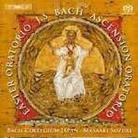 Suzuki Masaaki / Bach Collegium Japan & Johann Sebastian Bach (1685-1750) - Osteroratorium,Auferstehungsorator. SACD