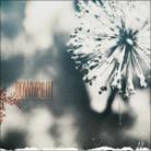 Downpilot - Like You Believe It