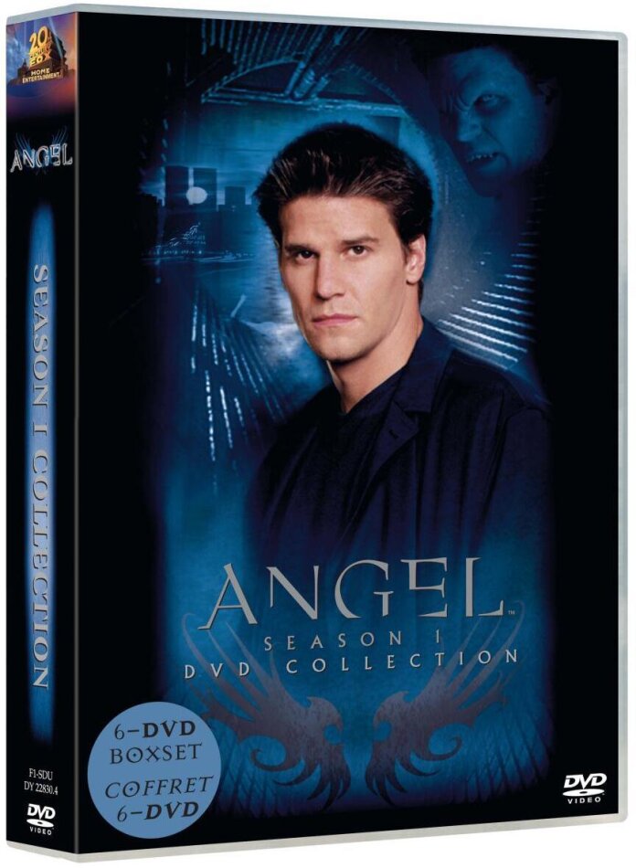 Angel - Saison 1 Box, 6 DVDs