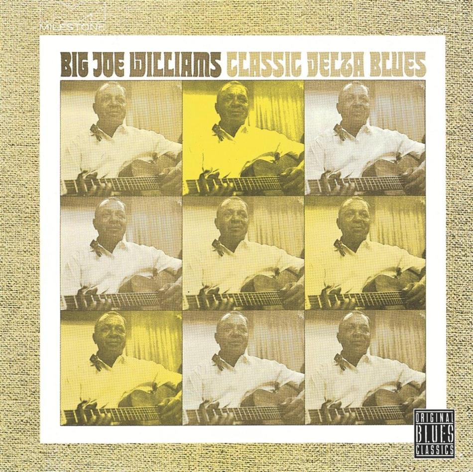Big Joe Williams - Classic Delta Blues