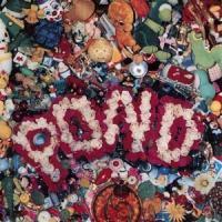 Pond - ---