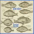 Patent Ochsner - Fischer