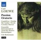 Reinemann Udo/Guadefroy/Stotjin & Carl Loewe (1796-1869) - Passion Oratorio