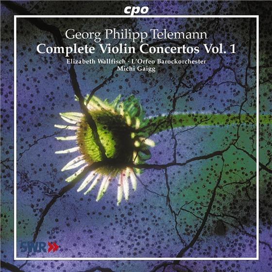 L'orfeo Barockorchester, Michi & Georg Philipp Telemann (1681-1767) - Werk Fuer Violine