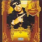 Pimp C (Ugk) - Pimpalation