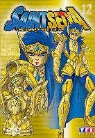 Saint Seiya - Vol. 12 - Les chevaliers du Zodiaque