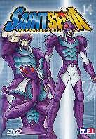 Saint Seiya - Les chevaliers du Zodiaque - Vol. 14