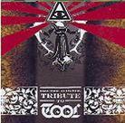 Tribute To Tool - Electro Acoustic Tribute