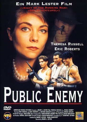 Public Enemy (1996)