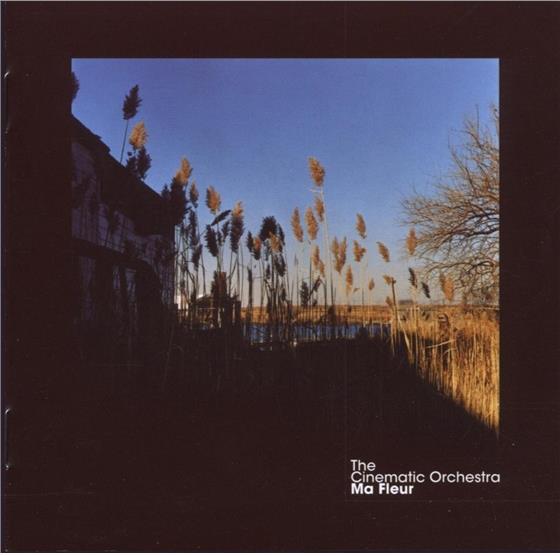 The Cinematic Orchestra - Ma Fleur