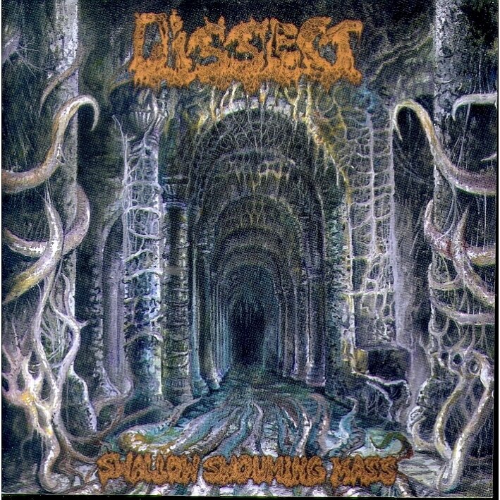 Dissect - Swallow Swourning 2 CDs