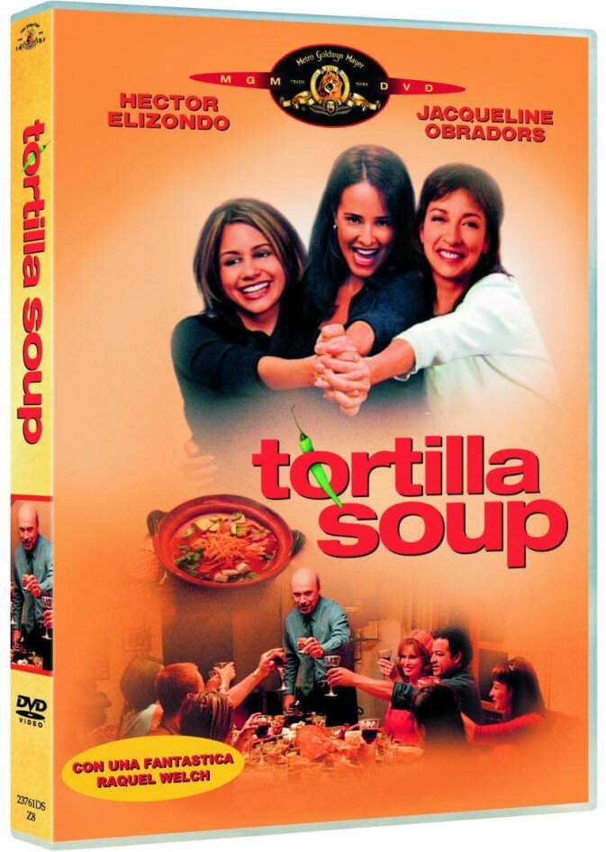 Tortilla soup