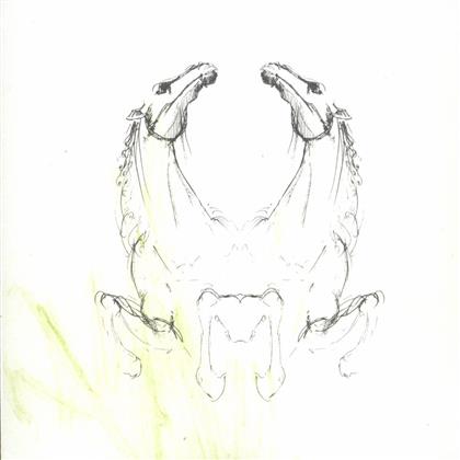 My Brightest Diamond - Tear It Down - Remixes