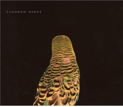 Andrew Bird - Armchair Apocrypha