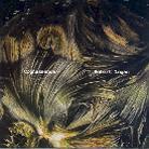 Robert Logan - Cognessence