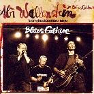 Abi Wallenstein - Blues Culture