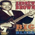 Andrew Brown - Big Brown's Blues 2 CD