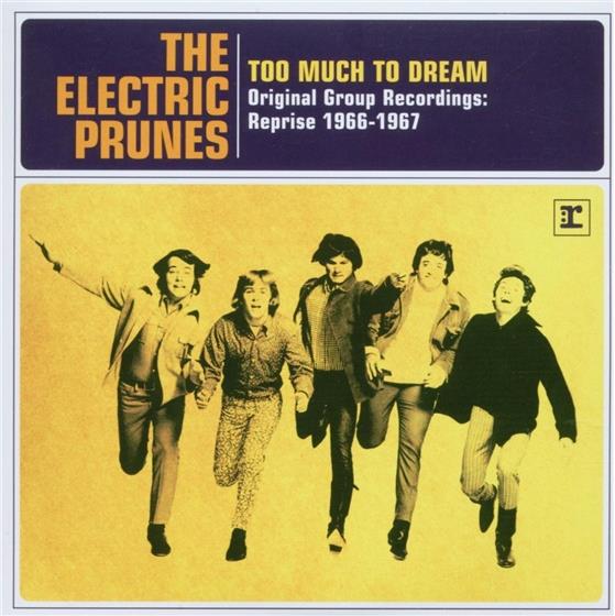 Electric Prunes - Too Much To Dream - Greatest Hits 2 CD