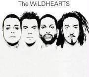 The Wildhearts - ---