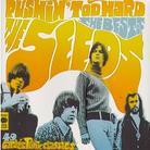 The Seeds - Pushin' Too Hard - Best Of 2 CD