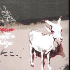 Capsule - Haunted House