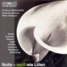 Schola Heidelberg & Diverse/Chor - Nuits