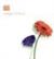 Divers - Adagio Chillout