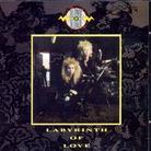 Blonde On Blonde - Labyrinth Of Love