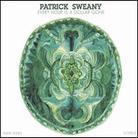 Patrick Sweany - Every Hour Is A Dollar Gone