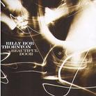 Billy Bob Thornton - Beautiful Door