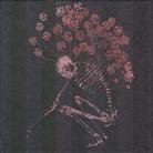 Tenhi - Folk Aesthetic 1996 - 2000 3 CDs