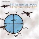 Peter Himmelman - The Pigeons Couldn't Sleep