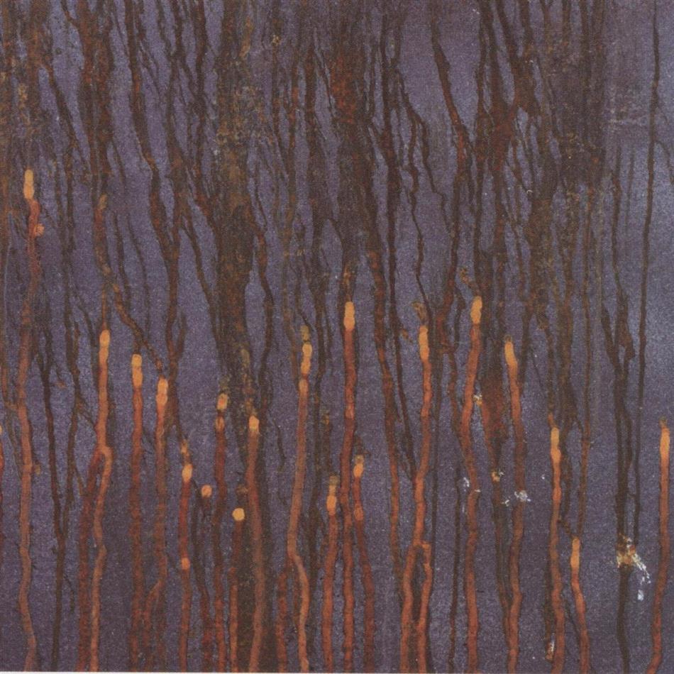Synapscape/Asche - Scenes From A Galtons Wal