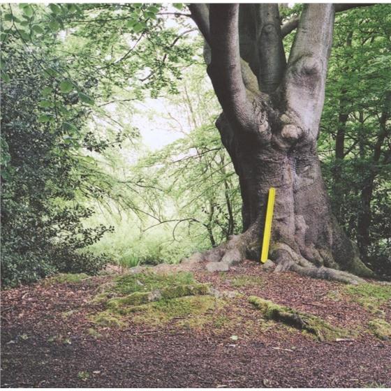 Will Saul - Simple Sounds 2 CD