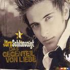 Jörn Schlönvoigt - Das Gegenteil Von Liebe
