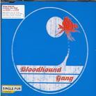 Bloodhound Gang - Screwing You On The Beach At Night