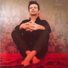 Roch Voisine - Best Of (2 CD)