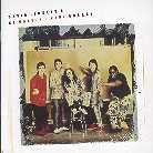David Lindley - Very Greasy