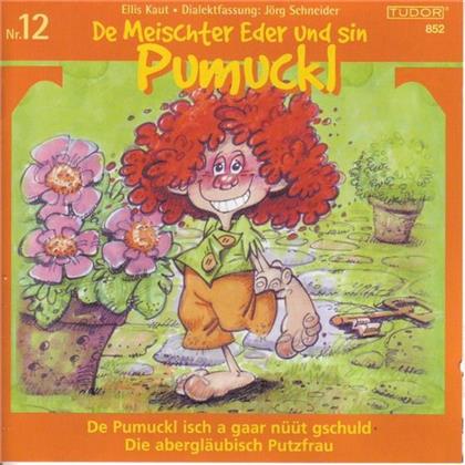 De Meischter Eder Und Sin Pumuckl - Folge 12 - N&uuml;&uuml;t gschuld