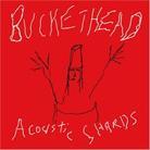 Buckethead - Acoustic Shards