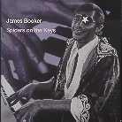 James Booker - Spiders On The Keys