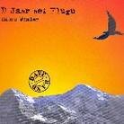 Dänu Wisler - D Jahr Hei Flügu