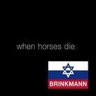Thomas Brinkmann - When Horses Die