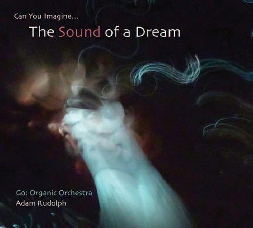 Adam Rudolph - Organic Orchestra