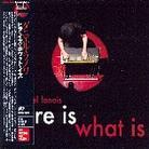 Daniel Lanois - Here Is What Is
