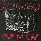 Buckethead - From The Coop